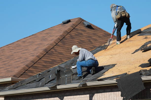 Best Asphalt Shingle Roofing  in Taos, MO